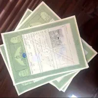 سند تک برگ