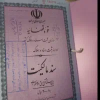 وثیقه/سند/اجاره ای/آزادی زندانی با بهترین قیمت