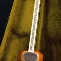 تار حرفه ای فرزاد مافی ویژه (چهار گل)