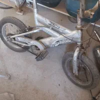 دوچرخه سواری  ۱۲ بچه گانه