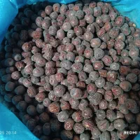 عناب و حبه|خوردنی و آشامیدنی|مشهد, ولیعصر (شهرک غرب)|دیوار