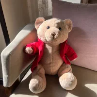 عروسک|اسباببازی بچه|آمل, |دیوار