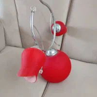 لوستر اتاق خواب و آشپزخانه|لوستر و چراغ آویز|زنجان, |دیوار