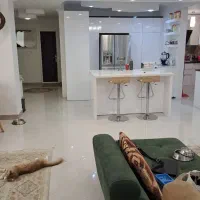 اجاره آپارتمان ۱۷۰ متری در خیابان پیروزی|اجارهٔ آپارتمان|ساری, |دیوار