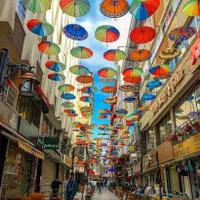 تور وان - ترکیه . حرکت مستقیم از تنکابن