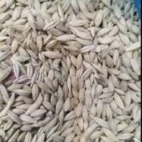 جو خارجی تمیز