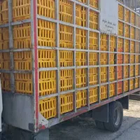 اتاق مرغی۲۲۴قفسی|قطعات یدکی و لوازم جانبی|گرگان, |دیوار