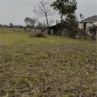 باغ مناسب کیوی سند ثبتی چسبیده به مسکونی