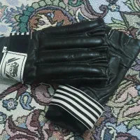دستکش بوکس وهنر رزمی