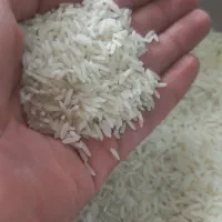 برنج فجر سوزنی ( طارم)