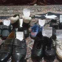 کفش|کیف، کفش، کمربند|شیراز, باهنر|دیوار