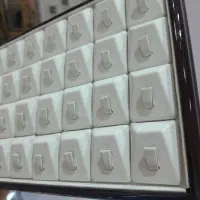 صفحه انگشتر