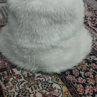 کلاه باکت تدی