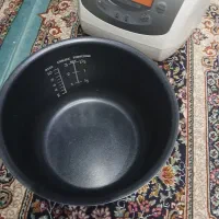 پلوپز دیجیتال فلر