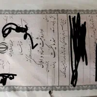 ضمانت دادگاه سند ششدانگ..ضامن