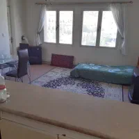 پشتی ماشینی
