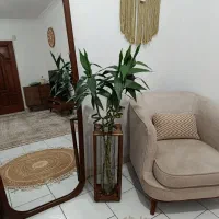 3شاخه بامبو مصنوعی