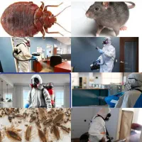 سمپاشی ساس سوسک کنه موریانه موش سمپاشی منازل وهتل