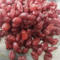 زرشک تازه فروش فوری|خوردنی و آشامیدنی|تربتحیدریه, بی بی حسنیه|دیوار