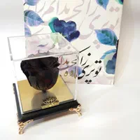 گل رز جاویدان درانواع رنگ ها ودیزاین دلخواه جاودان|گل و گیاه طبیعی|تهران, میدان ولیعصر|دیوار