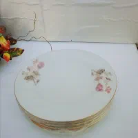 ۶ عدد بشقاب برنج خوری درجه یک