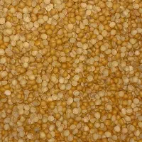 حبوبات ، نخود ، عدس ، لوبیا چیتی هندی|خوردنی و آشامیدنی|تربتحیدریه, آغوی|دیوار