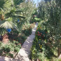 باغ ویلا|فروش خانه و ویلا|فشاپویه, |دیوار