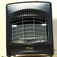 بخاری  پلار