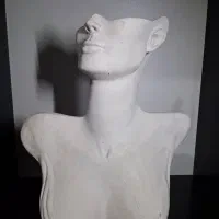 مجسمه پلی استری|مجسمه، تندیس، ماکت|قزوین, |دیوار