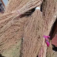 حراج جاروی محلی|لوازم نظافت|بیرجند, |دیوار