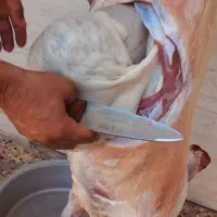 گوشت کوه روزگاری