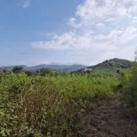 نیازمند