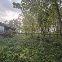 ۲۷۰۰ متر زمین با ویلا و سند ششدانگ|فروش خانه و ویلا|رضوانشهر, |دیوار