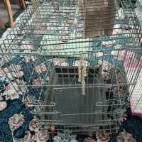 قفس پرنده|لوازم جانبی حیوانات|پاکدشت, حصار امیر|دیوار