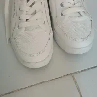 کفش|کیف، کفش، کمربند|چناران, |دیوار