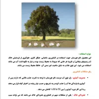 نگهدارنده اب درختان|خدمات باغبانی و درختکاری|رفسنجان, |دیوار