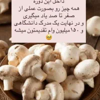 اشتغال و کسب درآمد و تسهیلات بانکی|استخدام آموزشی|اراک, |دیوار