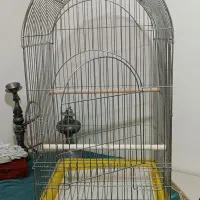 قفس 1044 خارجی در فانتزی نو به همراه لانه