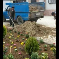 باغبانی سمپاشی هرس کاری تیلرزنی در تمام نقاط مشهد