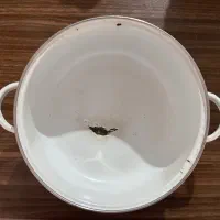 قابلمه لعابی|ظروف پختوپز|مشهد, مقدم|دیوار