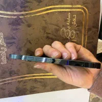 13 پرو|موبایل|تهران, استاد معین|دیوار