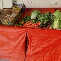 ۲ عدد پالت میوه|فروشگاه و مغازه|سنندج, |دیوار