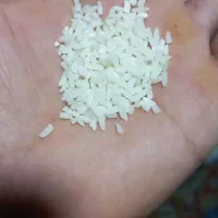 لاشه طارم هاشمی|خوردنی و آشامیدنی|ساری, |دیوار
