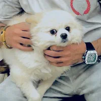 قلاده ۳حالته ضد پاس و واق سگ