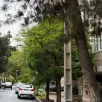 همخونه (همخونه میپذیرم)