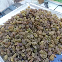 کشمش سایه خشک ملایر|خوردنی و آشامیدنی|ساوه, |دیوار