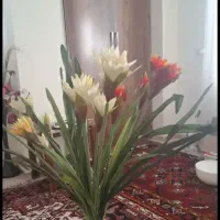 ۴شاخه بزرگ گل مرداب