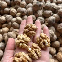 خشکبار طعم تازه|خوردنی و آشامیدنی|نیشابور, کوی یغما|دیوار