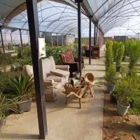 گلخانه-باغچه-رستوران-و-زمین-کشت-بر-قوچ-حصار
