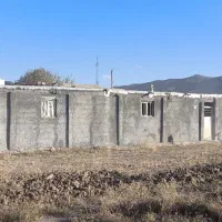 شراکت وسرمایه گذاری